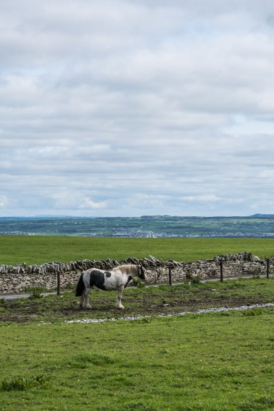 Ireland_CliffsofMoher-18