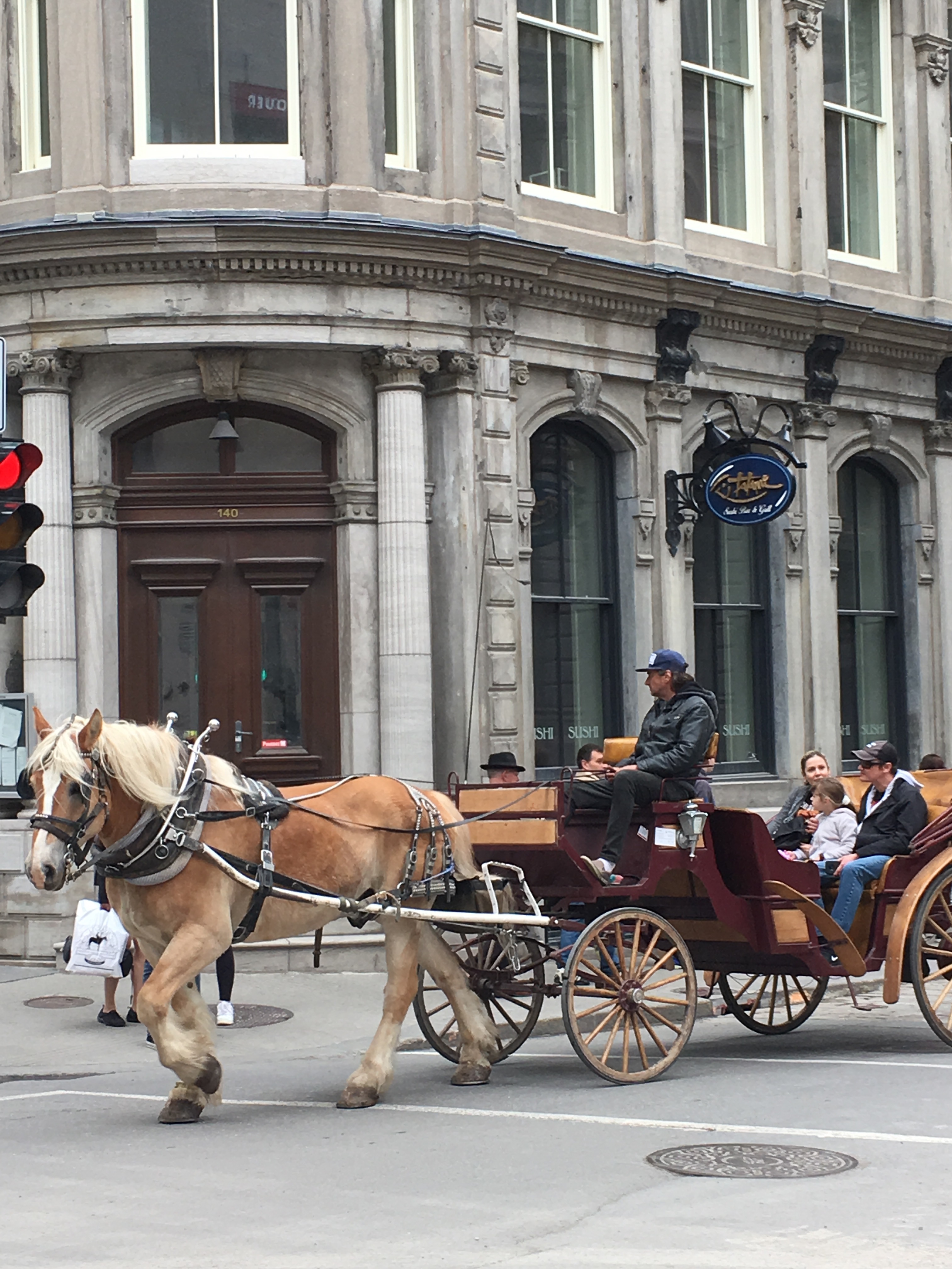 Horse and carriage rider in Old Montréal