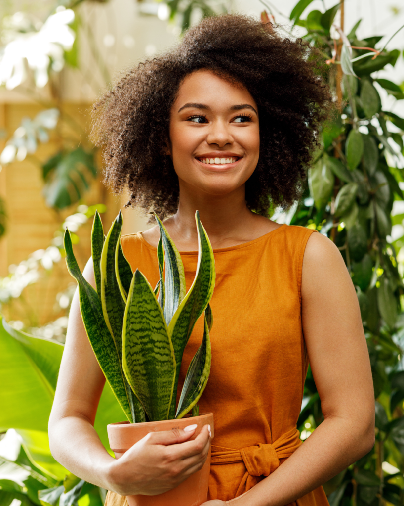 A happy young black woman holding a snake plant in a terracotta pot, and smiling.