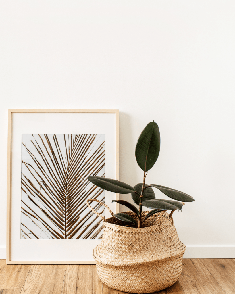 a fig plant in a beige wicker basket on the light wood floor next to a framed photo of a leaf.
